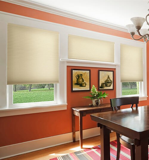 Remote Control Motorized Blinds, Shades & Window Treatments