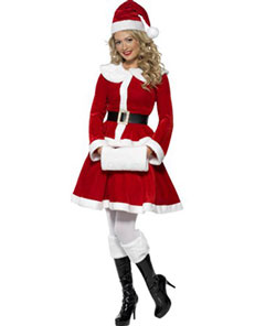 Miss Santa Womens Costume